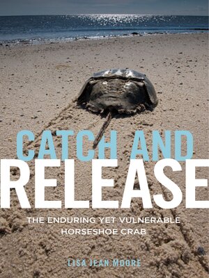 cover image of Catch and Release